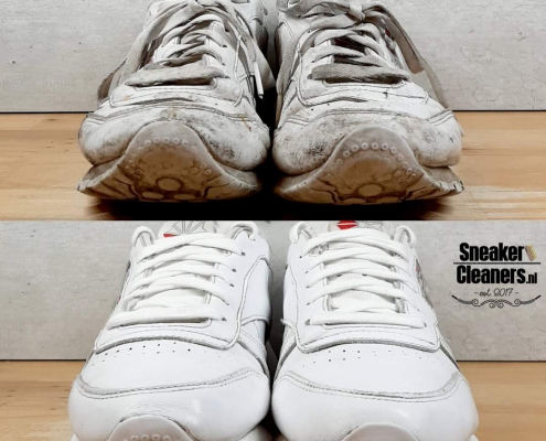 Nike Air Jordan 29 Nederland